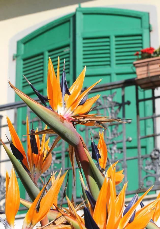 Albergo Ristorante Lucciola سانتو ستيفانو أل ماري المظهر الخارجي الصورة